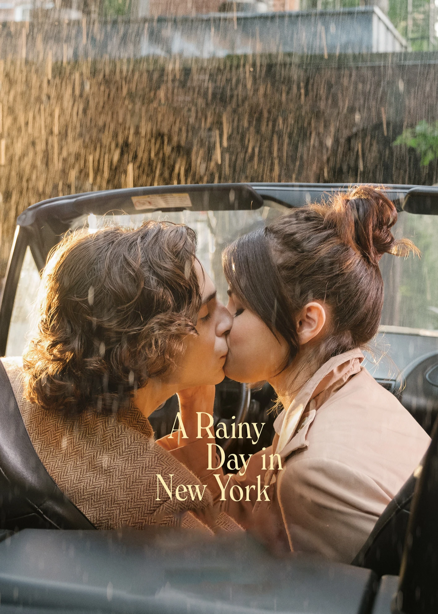 Chuyện Ngày Mưa Ở New York | A Rainy Day in New York (2019) Chuyện Ngày Mưa Ở New York | A Rainy Day in New York (2019)