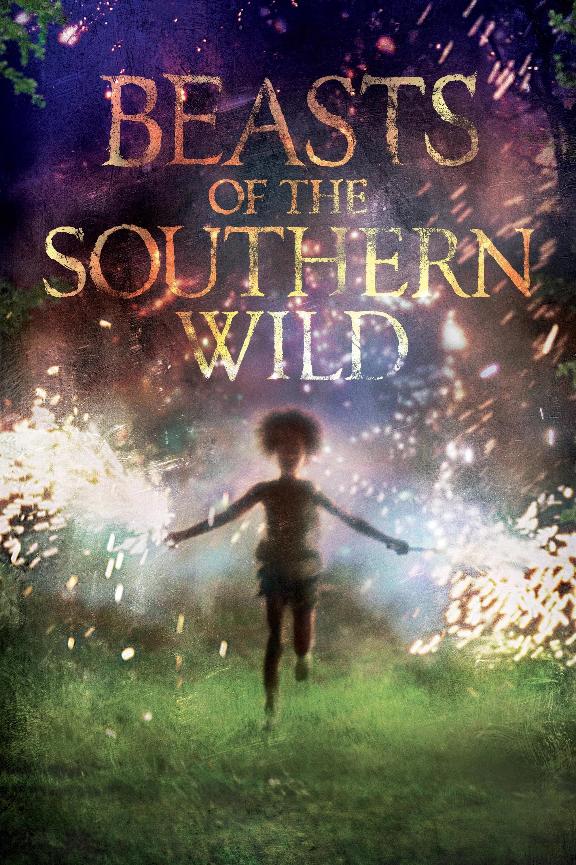 Quái Vật Miền Nam Hoang Dã | Beasts of the Southern Wild (2012) Quái Vật Miền Nam Hoang Dã | Beasts of the Southern Wild (2012)